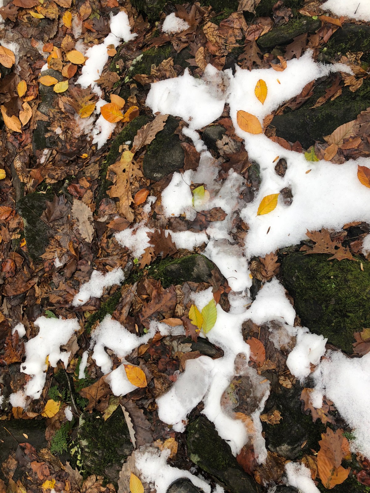 Q: What is the Importance of&nbsp;BigMe?