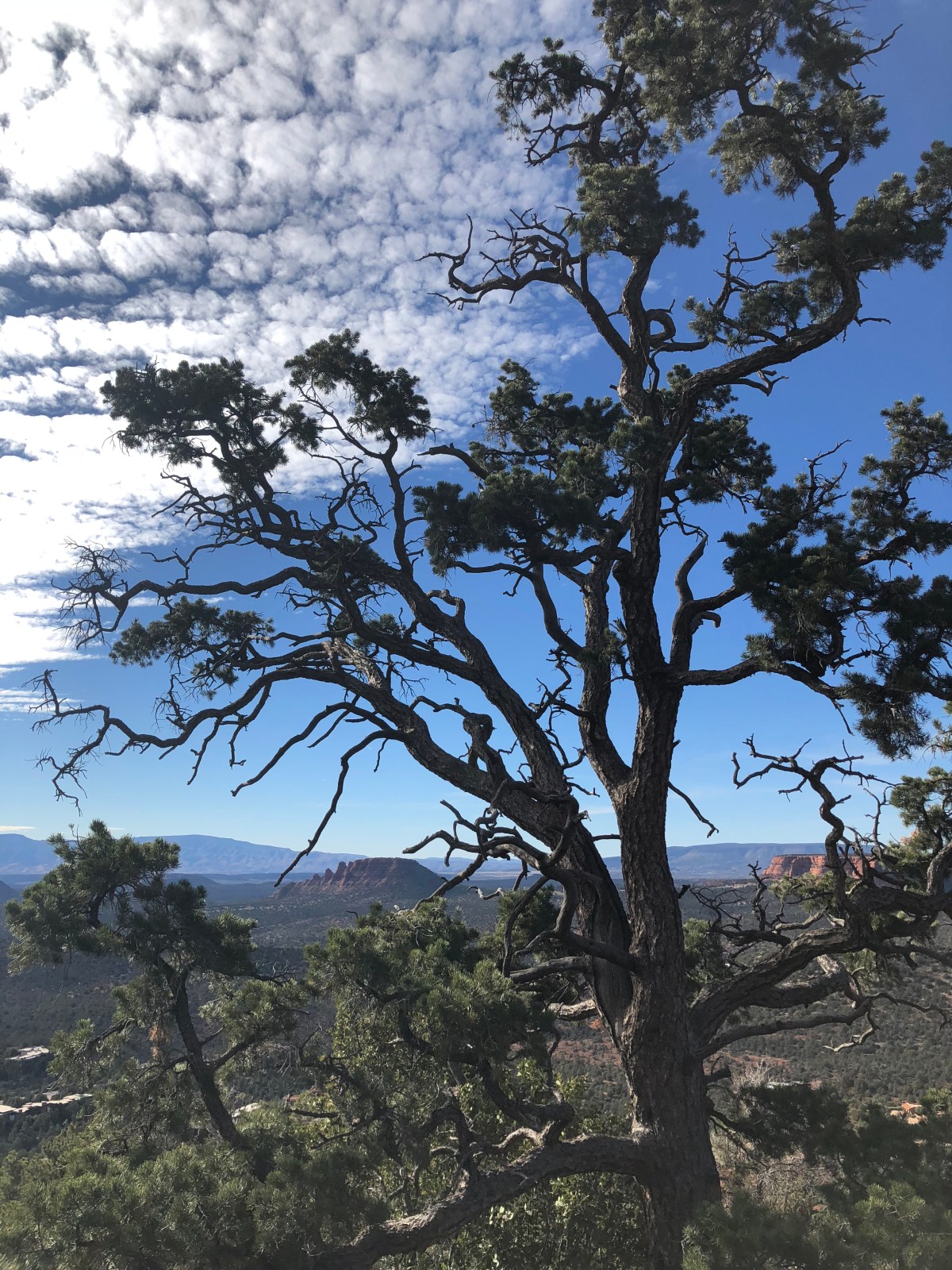 Q: What is the Importance of&nbsp;Time?