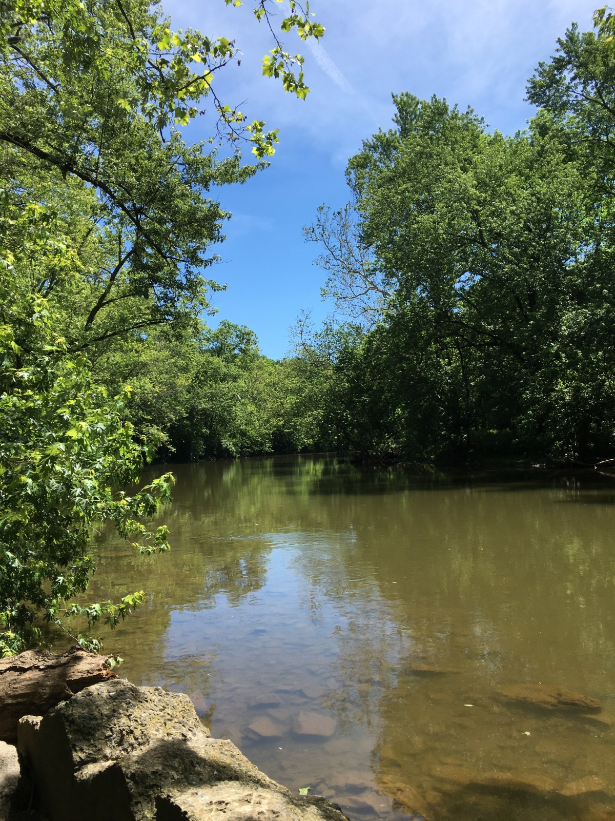 Q: I Work with People as a Holistic Therapist. Sometimes My Work Is Hands-On. Is There an Energetic Exchange When You Work on a Person Physically or&nbsp;Mentally?